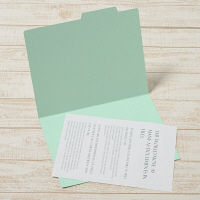 プラス 間伐材 個別フォルダーA4E BL 86955 1冊