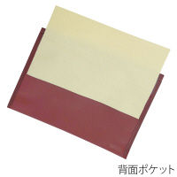 プラス SWPエンベロープヨコ 119CH RD 88732 1枚（直送品）