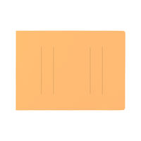 プラス フラットファイルA4E縦罫線タイプYL 98237 1冊