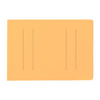 プラス　フラットファイルA5E縦罫線タイプYL　98277　（直送品）