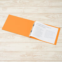 プラス PPフラットファイルA4EOR 98350 1冊