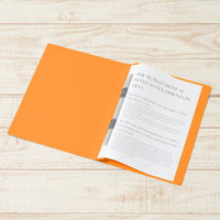 プラス PPフラットファイルB5SOR 98360 1冊