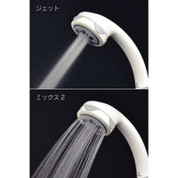 カクダイ ガオナ シャワーヘッド 5段切替 節水 マッサージ 掃除 リフレッシュ ボッシーニ GA-FC004 1個