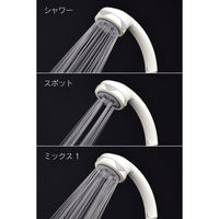 カクダイ ガオナ シャワーヘッドとホースのセット 5段切替 節水 マッサージ 掃除 リフレッシュ ボッシーニ GA-FH004 1個（直送品）