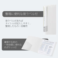 プラス DEJAVU レターファイルPW 89927 1冊