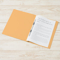 プラス PPフラットファイルA4SYL 98297 1冊