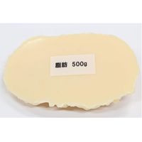 イワイサンプル 脂肪の塊(500g) SI-005 1セット(1個×2) 24-4514-00