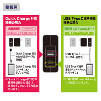 サンワサプライQuickCharge 3.0対応AC充電器　USB×1ポート/USB TypeCポート×1[合計3A]　ACA-QC43CUBK　1個（直送品）