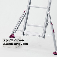 長谷川工業　脚部伸縮式スタビライザー付2連はしご　ハチ型　LSS21.0-44　（直送品）