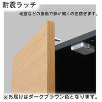 白井産業 ポルターレエントランス ミラー付シューズラック 幅300×奥行364×高さ1800mm ダークブラウン（直送品）