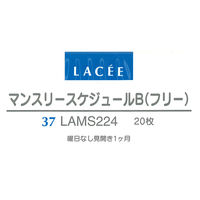 レイメイ藤井　手帳リフィル　ラセ　ポケット　マンスリーＢ　LAMS224　5冊　（直送品）