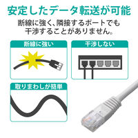 LANケーブル 10m cat5e準拠 より線 スリムコネクタ ホワイト LD-CTN/WH10 エレコム 1本