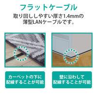 エレコム Gフラットケーブル LD-GF/BK10 1個