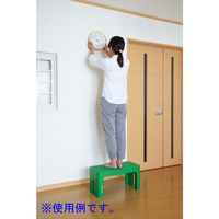 SANKA デコラステップトールL グリーン DS-TLG 1脚