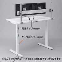 【在庫限り処分品】 サンワサプライ　電動上下昇降デスク　ERD-M12070　幅1200×奥行700×高さ630～1280mm　1台　（直送品）