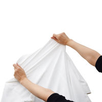 フォーク nuovo 長袖ブラウス ホワイト 13号 FB75577-1-13 1着