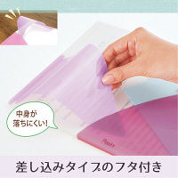 プラス PASTY CH B5 RP FL-710P5 1セット(5枚)（直送品）