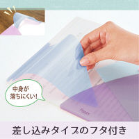 プラス PASTY CH B5 BP FL-710P5 1セット(5枚)（直送品）