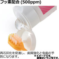 リッチェル トライ 毎日ピカピカ 歯みがきジェル いちご味 1個(30g入)×20セット（直送品）