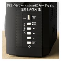 センター商事 CICONIA クラシカルラジカセ TY-2111 1台（直送品）