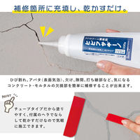 コモライフ コンクリート補修剤ヒビフサギーノ 391420 1個（直送品）