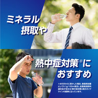 大正製薬 リポビタンウォーター 10袋入 栄養補助食品 1セット（2箱） パウダータイプ