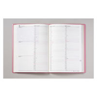 高橋書店 【2023年版】3年卓上日誌 A5 3年連用 ピンク 481 1冊（直送品）