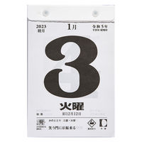 高橋書店 【2023年版】日めくりカレンダー 小型 B6 E503 1冊（直送品）