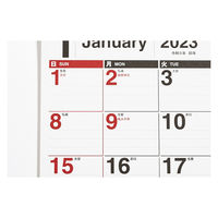 高橋書店 【2023年版】エコカレンダー壁掛 A4 E61 1セット(2冊)（直送品）