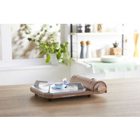 イワタニ カセットコンロ カセットフー 達人スリムプラス CB-TS-PLS 1台 岩谷産業