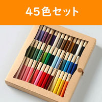 フジックス FUJIX Soie et ソワエ 単色 15m 45本 紙箱セット 刺しゅう糸 SOIE-45SET 1箱