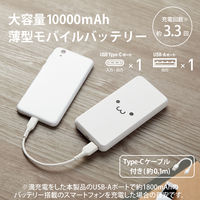 モバイルバッテリー 大容量 薄型 USB-C×1 USB-A×1 最大 15W 10000mAh EC-C05WF エレコム 1個（直送品）