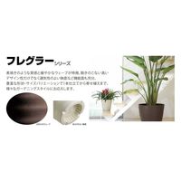 大和プラスチック フレグラープレート 24型用 アイボリー 4903266721084 1個（直送品）