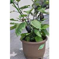 大和プラスチック eco&ecoウインプランター 丸32型 エコブラウン 4903266722760 1個