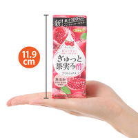 エルビー ぎゅっと果実+酢 ざくろミックス 200ml 1セット（48本）