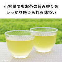 伊藤園 お茶体験 緑茶 200ml 1セット（60本）  お茶 小容量 ペットボトル 【接客】