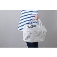 アイリスオーヤマ メッシュペットキャリー アイボリー MPC-450 1個