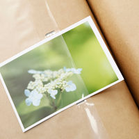 無印良品 アルバム ３段 Ｌ判 ３００枚用 1セット（1冊×5） 良品計画