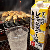 すっきりレモンサワーの素 25度 1L 1本　東亜酒造　リキュール