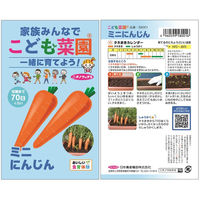 日本農産種苗 こども菜園 わくわくセット秋(観察シート付) 4960599900043 1セット(5袋入)（直送品）