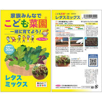 日本農産種苗 こども菜園 にこにこセット秋(観察シート付) 4960599900036 1セット(5袋入)（直送品）