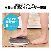 エクリア体組成計 大画面 測定項目一覧表示 ８項目測定可能 グレー HCS-FS05GY エレコム 1個（直送品）