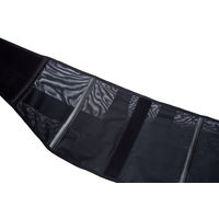 ファイテン(phiten) サポーター メタックス 腰用 ミドルタイプ M AP230004 1個（直送品）