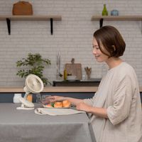 ライフオンプロダクツ コードレスクリップファン オフホワイト PR-F058-OW 1台（直送品）