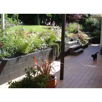 名古屋セラミックス ジョイントタイル セラミックス150 オレンジ N044 1箱（10枚入）（直送品）