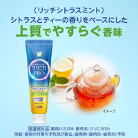 ライオン クリニカPROオールインワンハミガキ リッチシトラスミント 95g 408250 1本