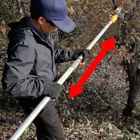 エスコ DC18V チェーンソー(伸縮ポール/充電式) EA898CA-21A 1台（直送品）