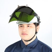 エスコ フェイスプロテクター(ヘルメット取付型) EA800PB-31 1個（直送品）