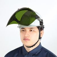 エスコ フェイスプロテクター(ヘルメット取付型) EA800PB-33 1個（直送品）