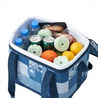 倍速凍結・氷点下パック コンパクト（2pcs） 81660639 1セット LOGOS/ロゴス